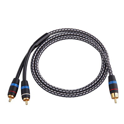 M100 RCA to 2RCA